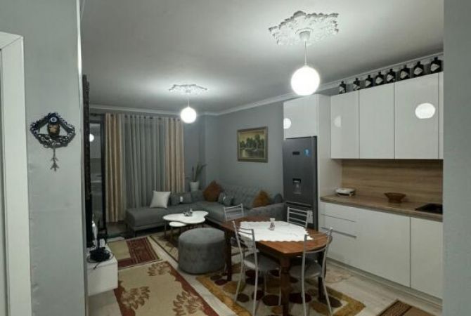 Shtepi me qera 1+1 ne Tirane - 48,000 Leke