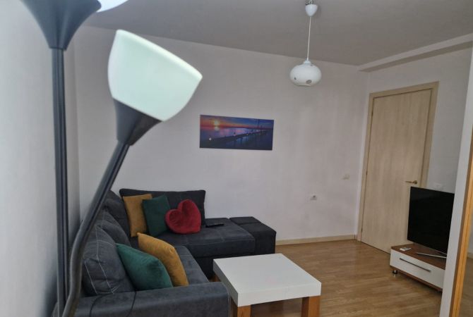 Shtepi me qera Apartament ne Tirane, 1+1, Mobilimi E mobiluar, Pagesa 500  Euro.