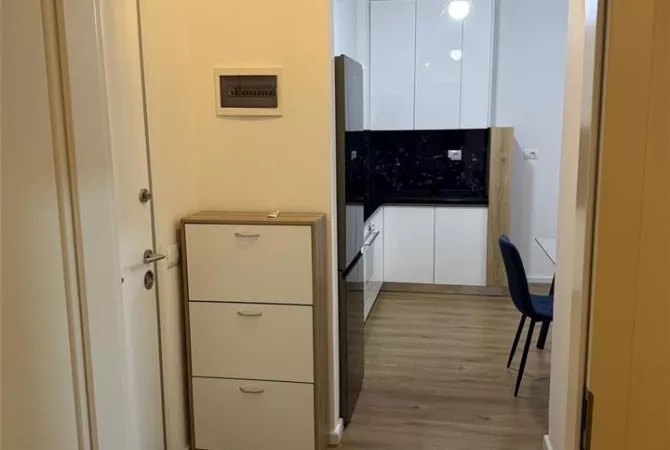Apartment for rent in Tirana 1+1, Furnished