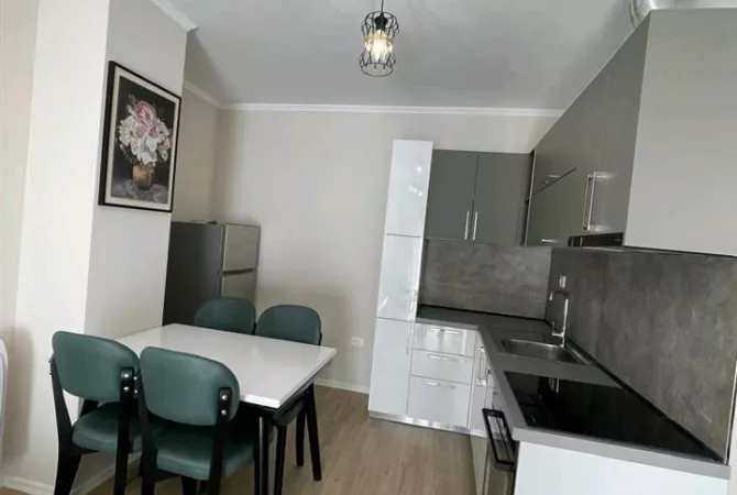 Shtepi me qera 1+1 ne Tirane - 500 Euro