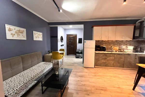 Shtepi me qera Apartament ne Tirane, 2+1, Mobilimi E mobiluar, Pagesa 55,000  Leke.