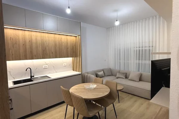 Apartment for rent in Tirana 1+1, Furnished