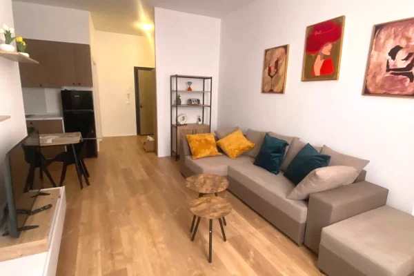 House for Rent 1+1 in Tirana - 600 Euro