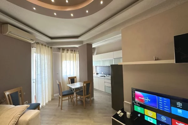 House for Rent 1+1 in Tirana - 650 Euro