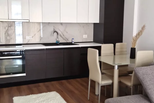 Shtepi me qera 1+1 ne Tirane - 600 Euro