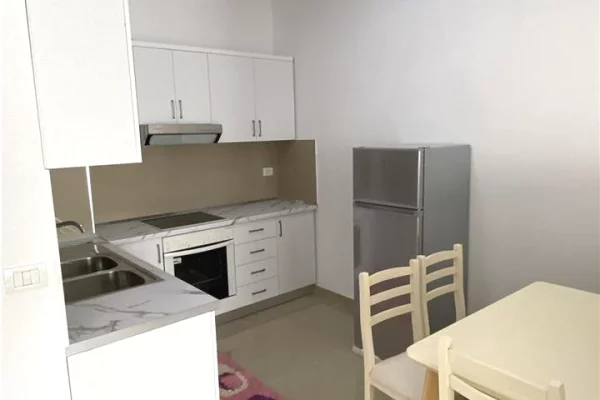 Shtepi me qera 1+1 ne Tirane - 40,000 Leke