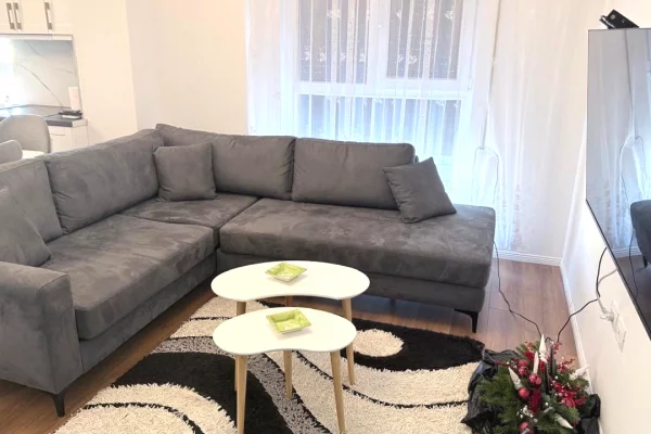 Apartment for rent in Tirana 1+1, Furnished