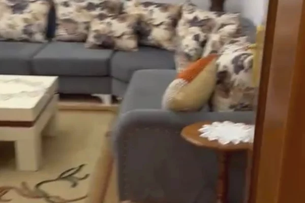 Casa in affitto 2+1 a Tirana - 50,000 Leke