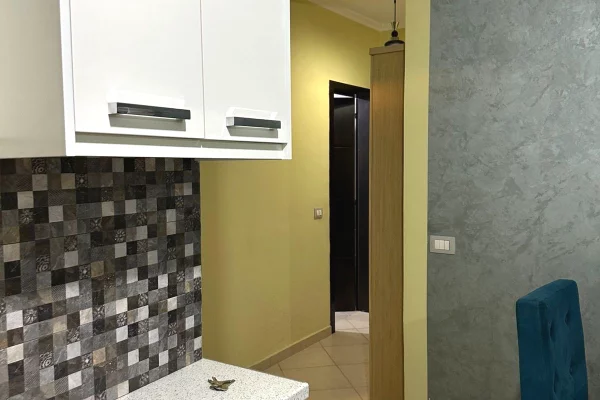 Shtepi me qera 1+1 ne Tirane - 40,000 Leke