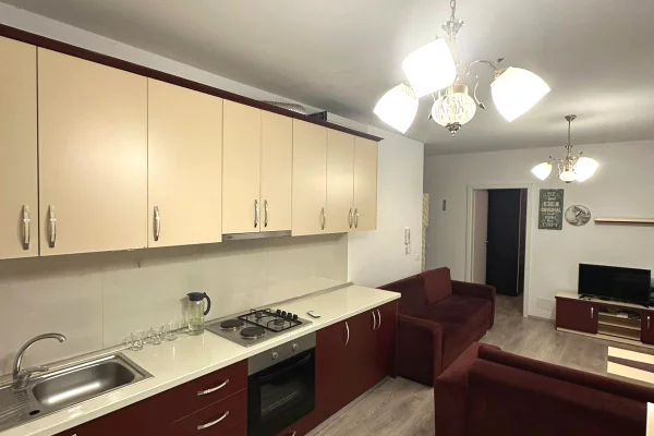 Shtepi me qera 1+1 ne Tirane - 45,000 Leke