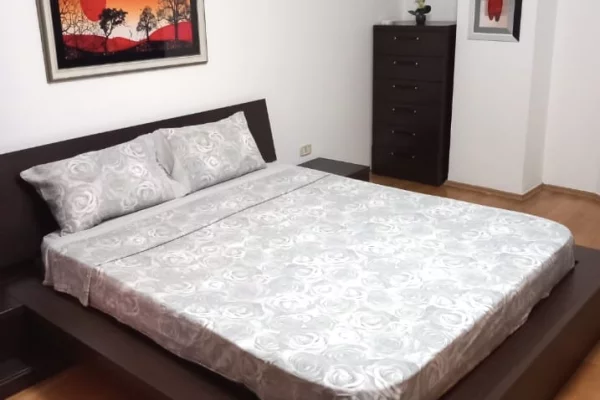 Shtepi me qera Apartament ne Tirane, 1+1, Mobilimi E mobiluar, Pagesa 600  Euro.