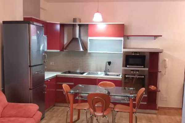 Shtepi me qera Apartament ne Tirane, 1+1, Mobilimi E mobiluar, Pagesa 600  Euro.