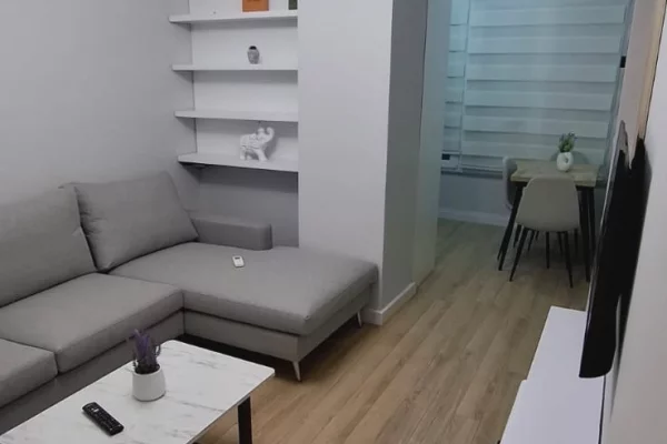 Shtepi me qera Apartament ne Tirane, 1+1, Mobilimi E mobiluar, Pagesa 550  Euro.