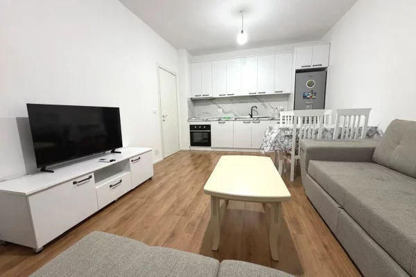 Shtepi me qera 1+1 ne Tirane - 55,000 Leke