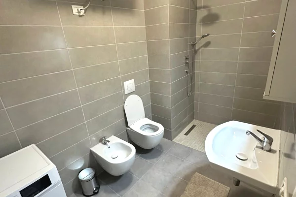 Shtepi me qera Apartament ne Tirane, 1+1, Mobilimi E mobiluar, Pagesa 550  Euro.