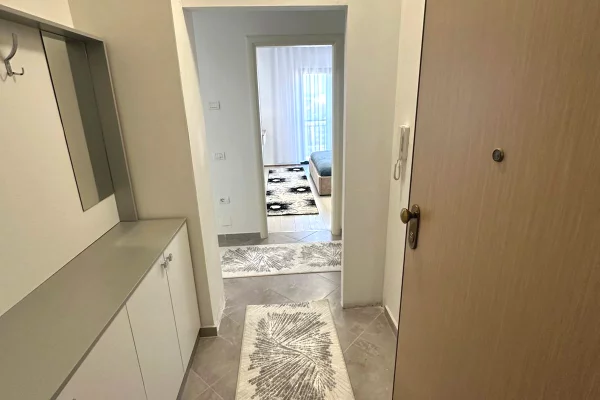 Shtepi me qera Apartament ne Tirane, 1+1, Mobilimi E mobiluar, Pagesa 550  Euro.