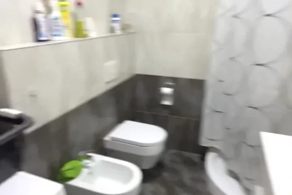 Shtepi me qera Apartament ne Tirane, 1+1, Mobilimi E mobiluar, Pagesa 600  Euro.