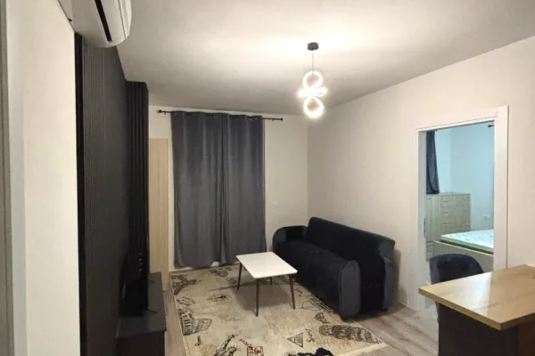 House for Rent 1+1 in Tirana - 45,000 Leke