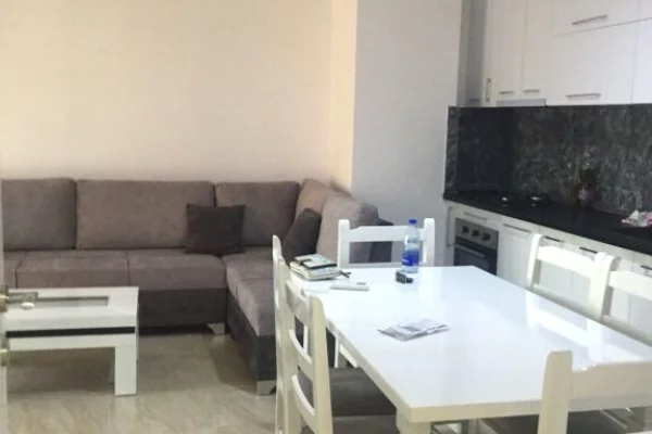 Apartment for rent in Tirana 1+1, Furnished