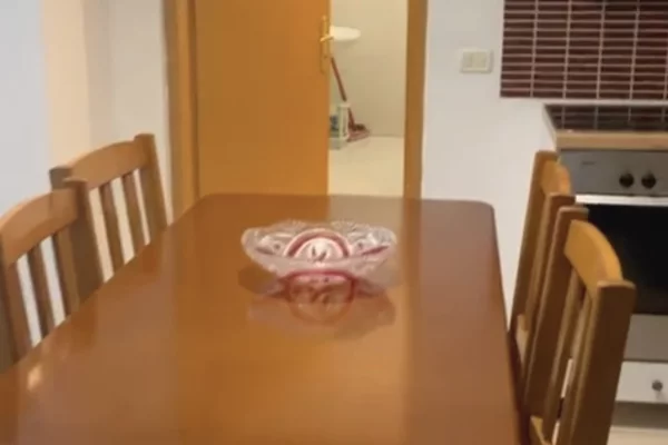 Private house for rent in Tirana 1+1, Furnished