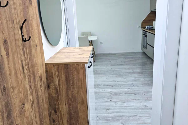 Appartamento in affitto a Tirana 2+1, Arredato