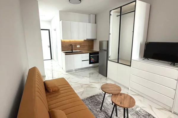 Apartment for rent in Tirana Garsoniere, Furnished