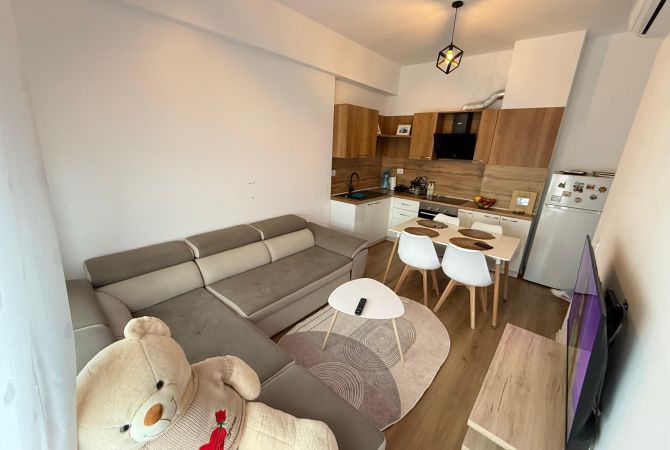 Shtepi me qera Apartament ne Tirane, 1+1, Mobilimi E mobiluar, Pagesa 350  Euro.