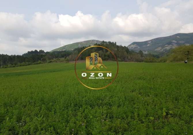 Truall ose Toke ne Tirane - 433,780 Euro