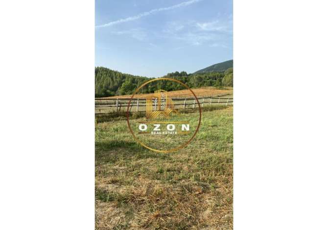 Truall ose Toke ne Tirane - 433,780 Euro