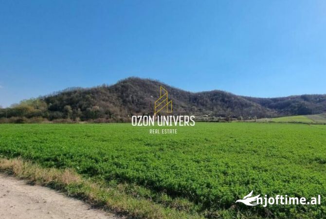 Truall ose Toke  ne Tirane - 650,000 Euro