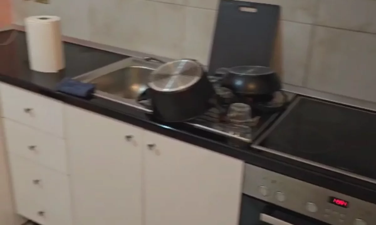 Shtepi me qera Vila Luksoze ne Tirane, Garsoniere, Mobilimi E mobiluar, Pagesa 27,000  Leke.