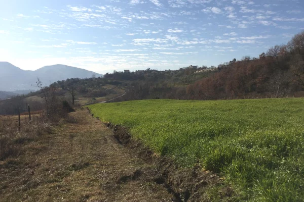 Land for Sale  in Tirana - 82,000 Euro