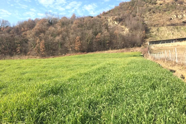 Land for Sale  in Tirana - 82,000 Euro