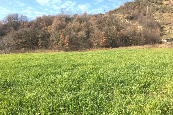 Land for Sale  in Tirana - 82,000 Euro