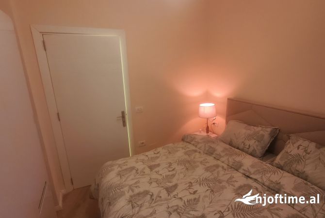 Ambient biznesi me qera 3+1 ne Tirane - 550 Euro