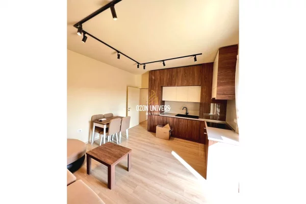 Apartment for rent in Tirana 1+1, Furnished