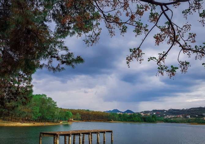 Truall ose Toke  ne Tirane - 700,000 Euro