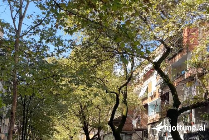 Ambient biznesi ne shitje 3+1 ne Tirane - 600,000 Euro