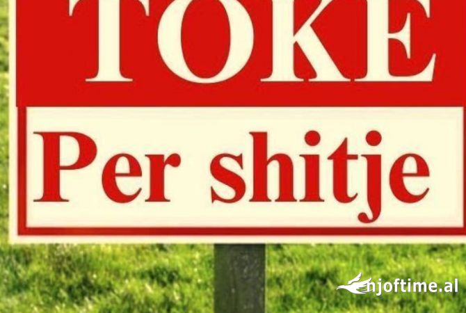 Truall ose Toke  ne Tirane - 120,000 Euro