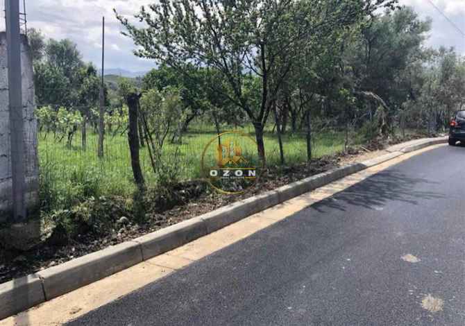 Truall ose Toke ne Tirane - 26,000 Euro