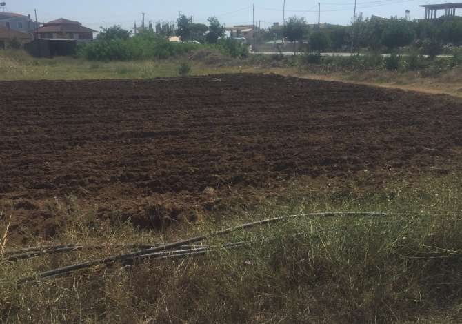 Truall ose Toke  ne Lushnje - 70,000 Euro
