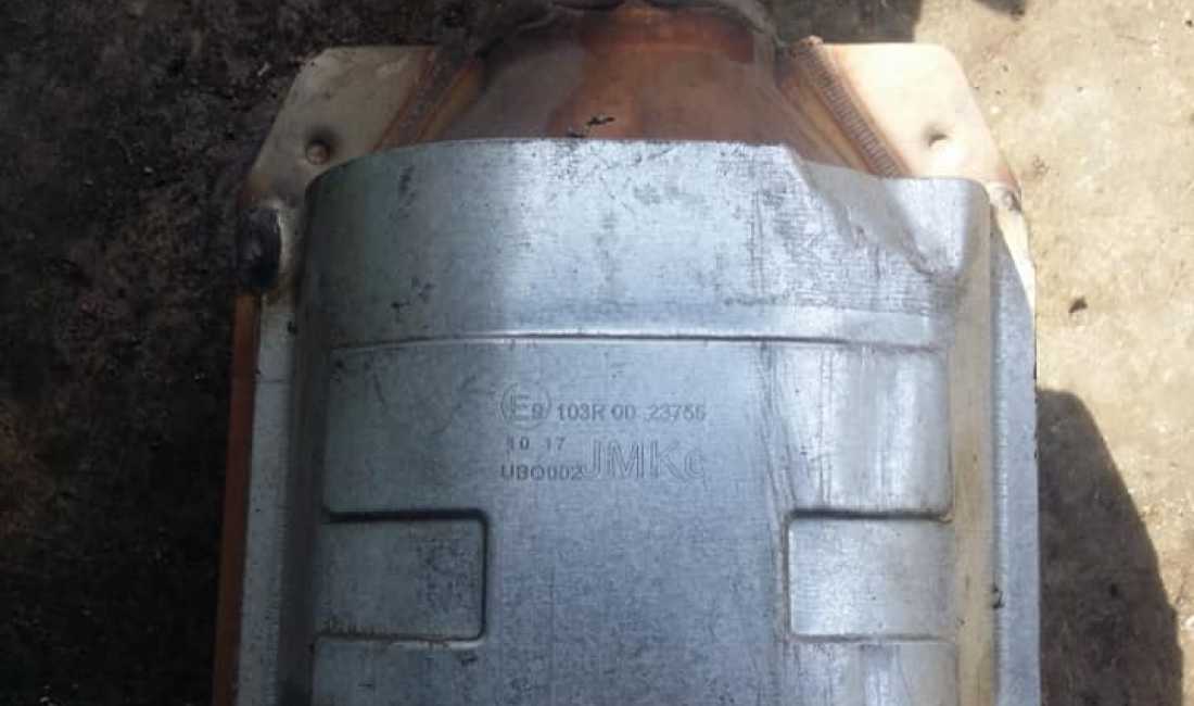 Foto 5