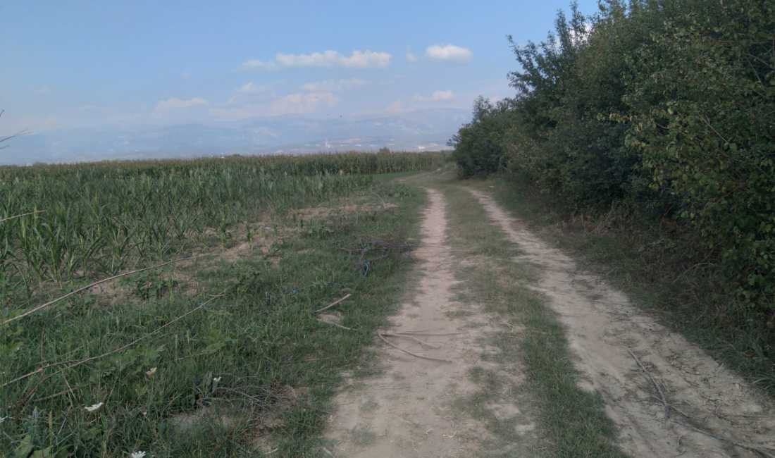 Foto 3