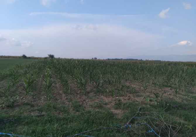 📌Toke ne shitje me prespektive zhvillimi / WhatsUpp: 0682912686