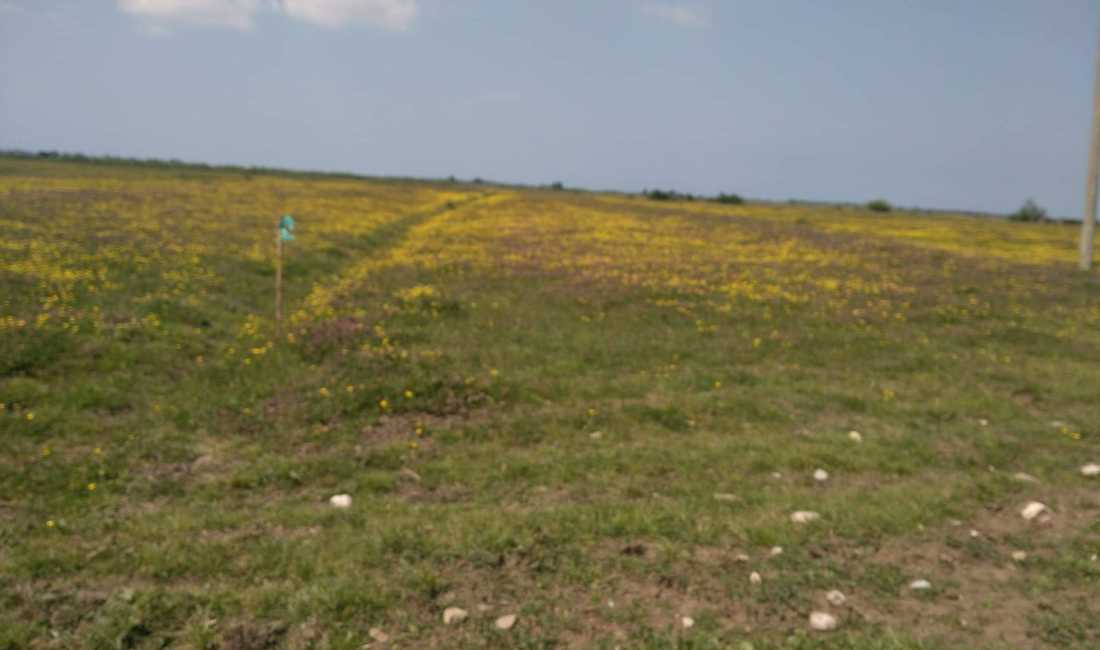 📣OKAZION: Shitet toka me super mundesi per investim