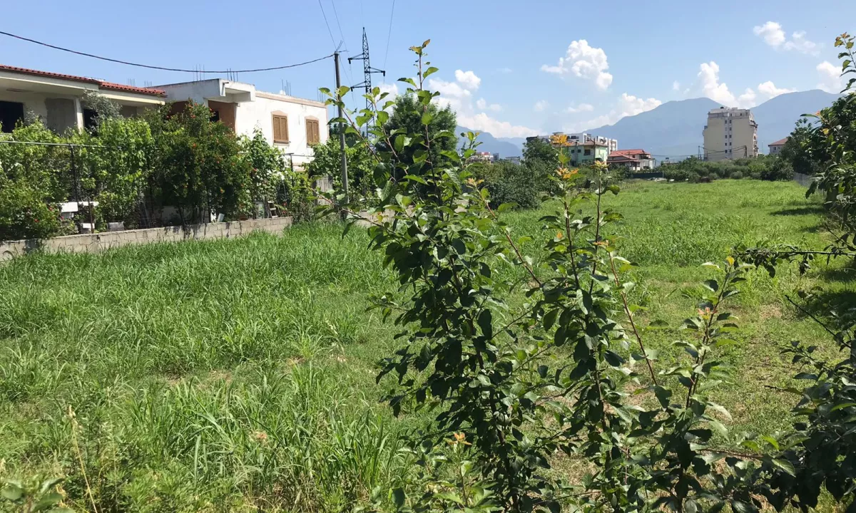 Foto 1