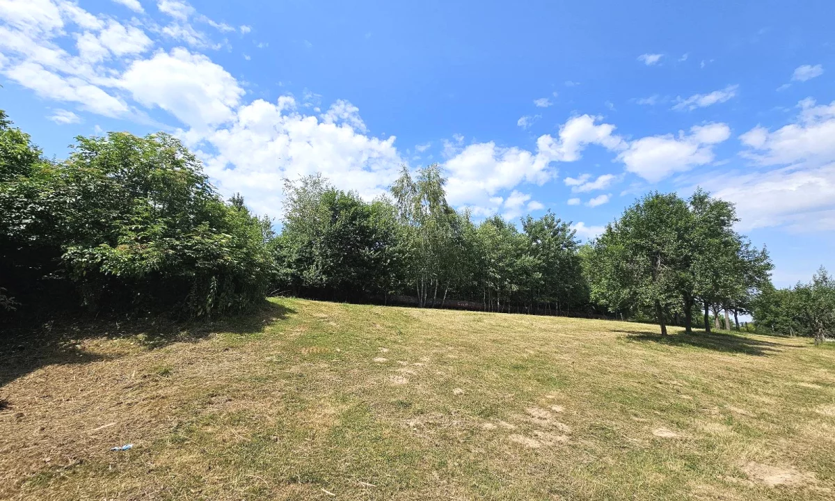 Shes 1000 m2 toke ne Borsh Himare.