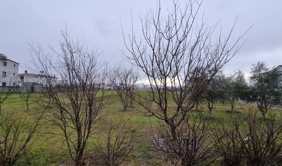 Shitet toka ne kamez