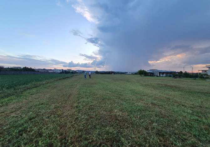 Shitet toka ne kamez