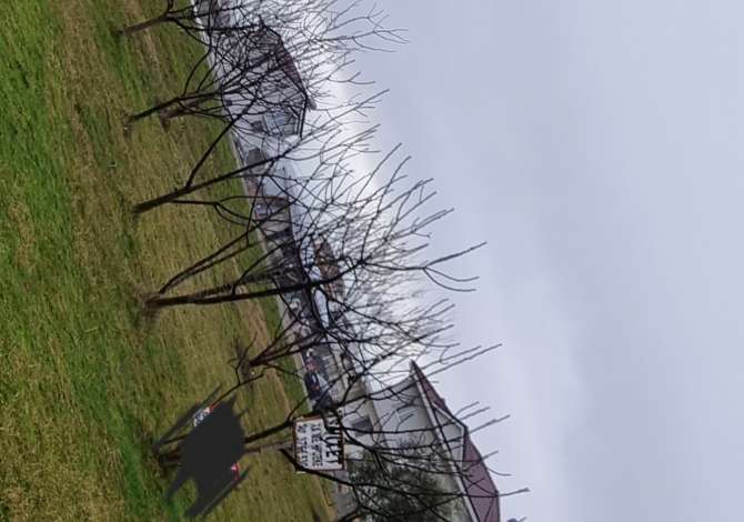 Truall ose Toke  ne Tirane - 315,000 Euro